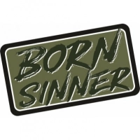 Патч Federkamm «Born sinner» купить в Кирове